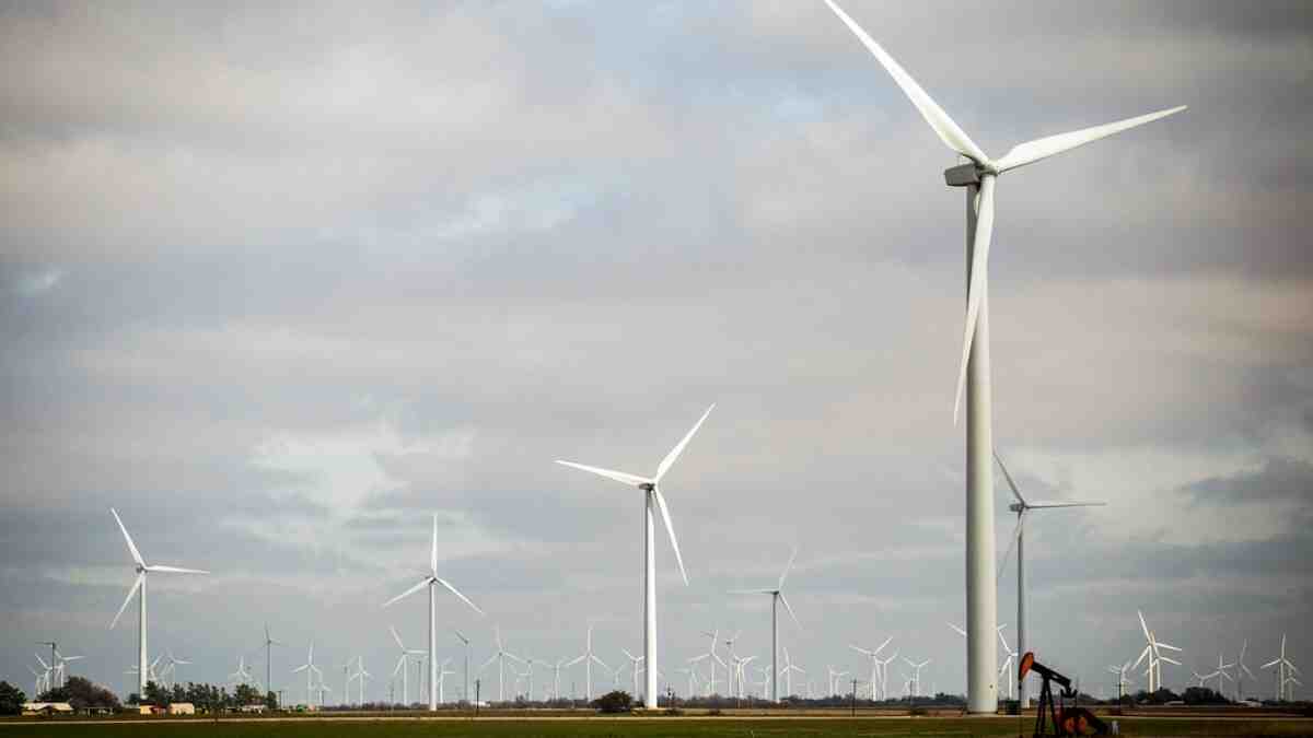 What percentage of renewable resources did Texas use for electricity in 2020?