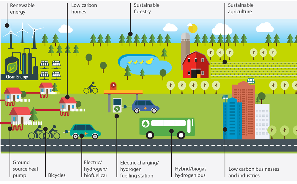 Carbon Emissions