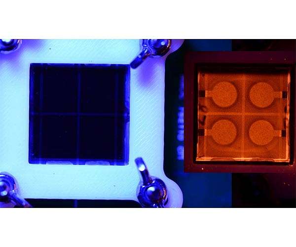 Blue-light stride in perovskite-based LEDs