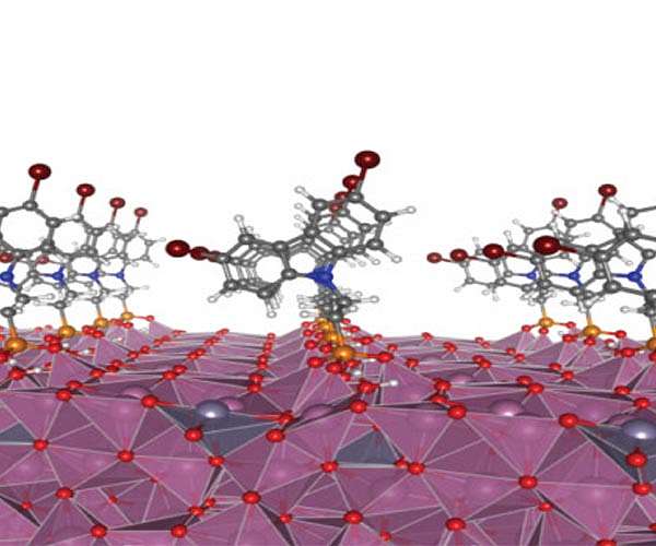 Molecular coating enhances organic solar cells