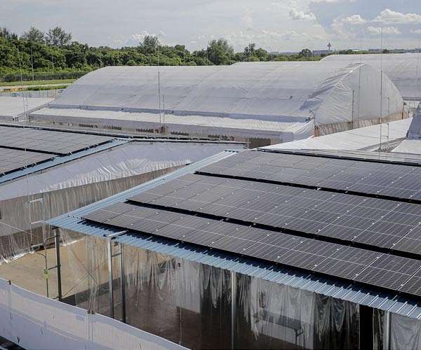 Singapore inaugurates new floating solar farm to meet energy needs
