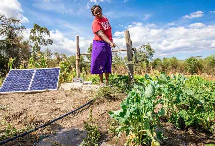 Hidden cameras reveal the dark side of solar energy