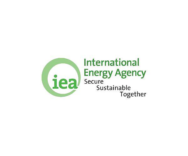 Without collaboration, green transition 'delayed by decades': IEA