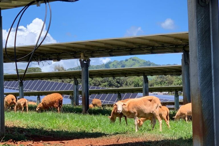 Kauai is a clean energy leader. Its secret? A publicly…