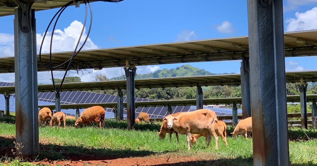 Kauai is a clean energy leader. Its secret? A publicly…