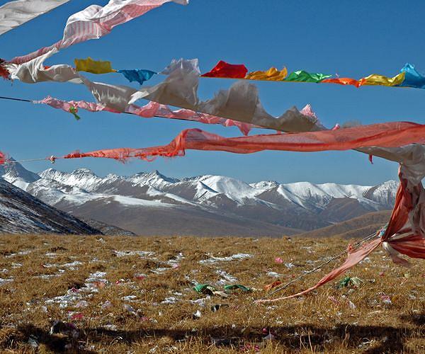 China lithium boom harming fragile Tibetan plateau: report