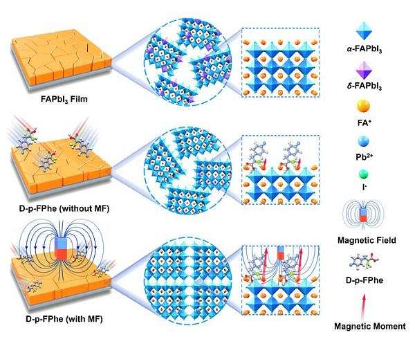 Innovative chiral molecule strategy boosts perovskite solar cell efficiency