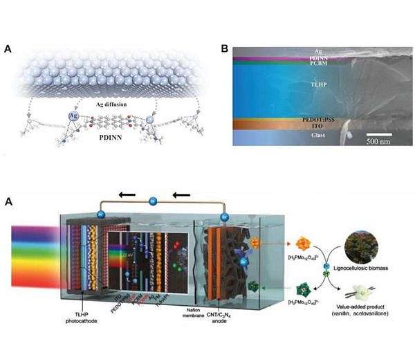Novel Cathode Interlayer Boosts Performance of Tin-Lead Perovskite Solar Cells