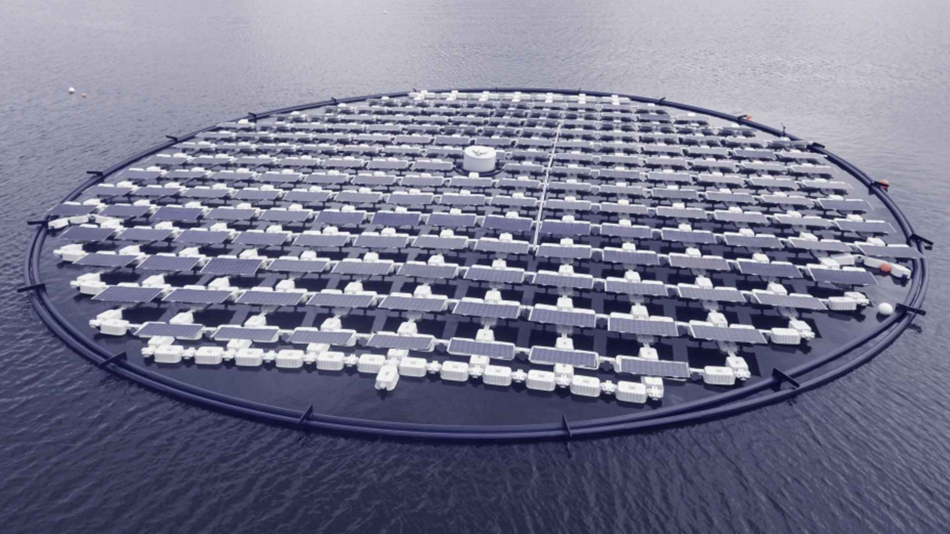 SolarisFloat is pioneering the development of floating solar panels that dynamically track sunlight to make the technology more efficient.