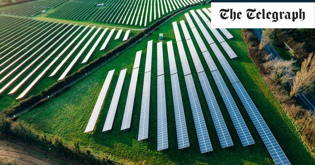 This solar panel con will destroy our farms