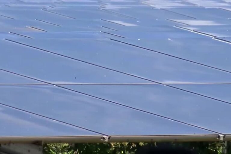 Hawaii’s largest ‘solar-plus-battery’ farm unveiled in West Oahu