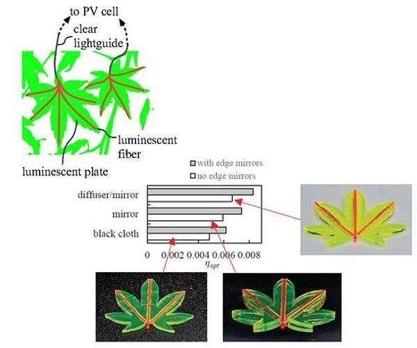 Leaf-inspired Solar Concentrators Could Significantly Improve Efficiency