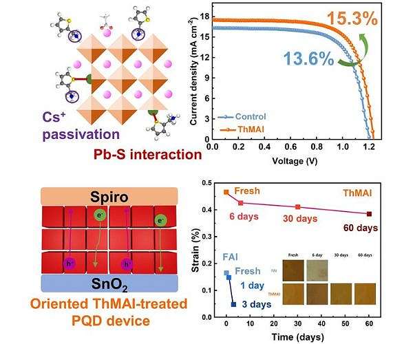 DGIST enhances quantum dot solar cell performance