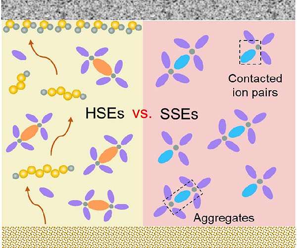 Unlocking the potential of lithium-sulfur batteries