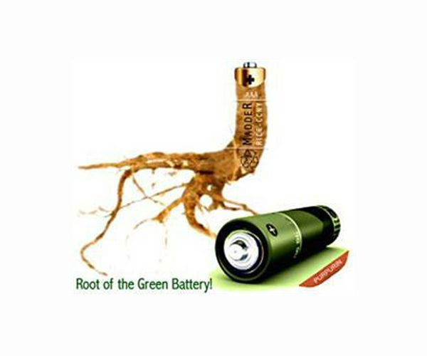 Green battery discovery turns trash into treasure