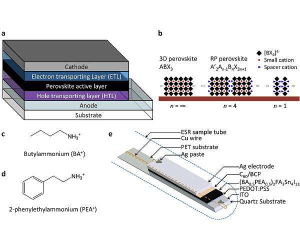 Enhancing Durability and Efficiency in Tin-based Perovskite Solar Cells