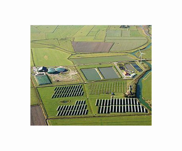 German govt wants to cut renewable energy subsidies