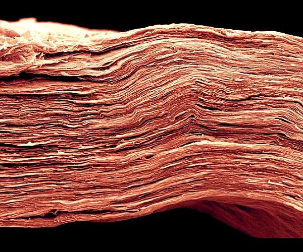 MXene Additive Boosts Heat Resistance and Efficiency in Perovskite Solar Cells