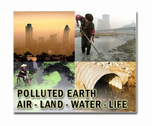 New method harnesses solar-powered biofilms to eliminate soil pollutants