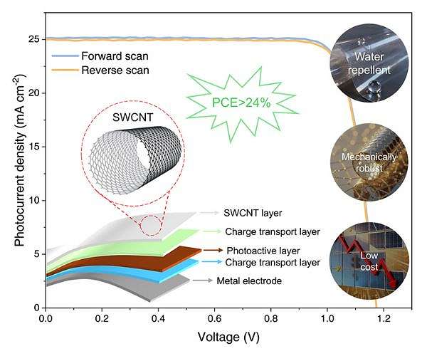 Carbon nanotube films boost flexible perovskite solar module performance