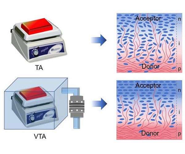 Vacuum annealing boosts efficiency and durability in organic solar cells