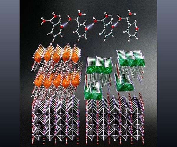 Molecular velcro coating boosts perovskite solar cell durability and efficiency