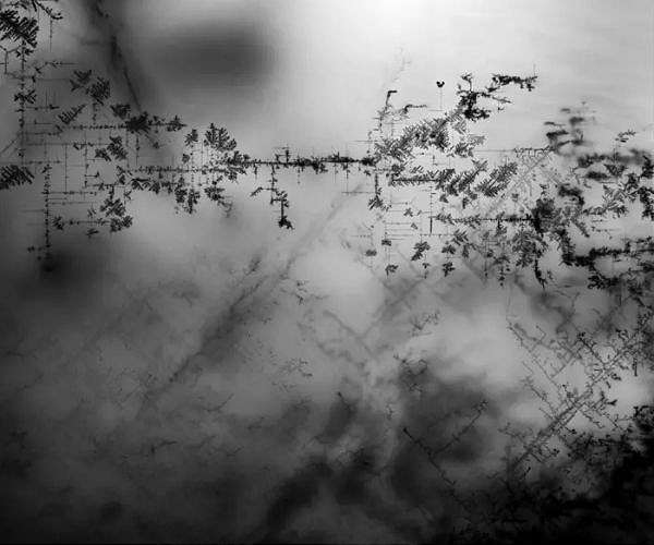 Defect networks boost performance of next generation perovskite solar cells