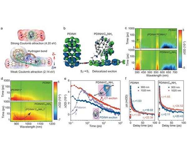 Hydrogen bond design advances solar water oxidation efficiency