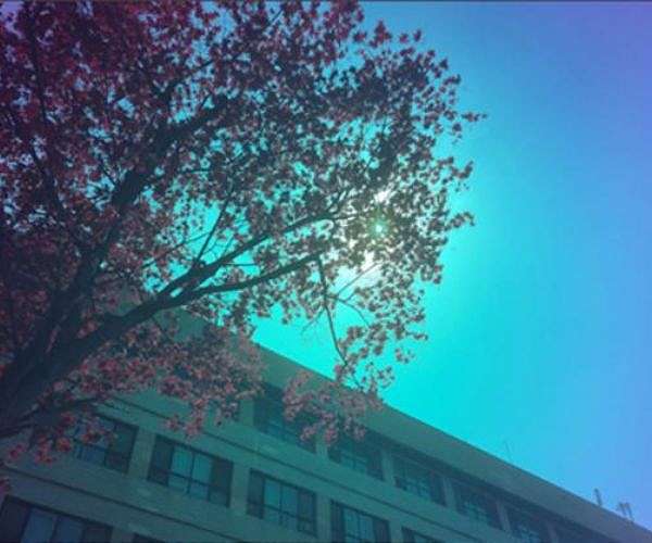 AI driven coatings enable full color solar windows without losing power